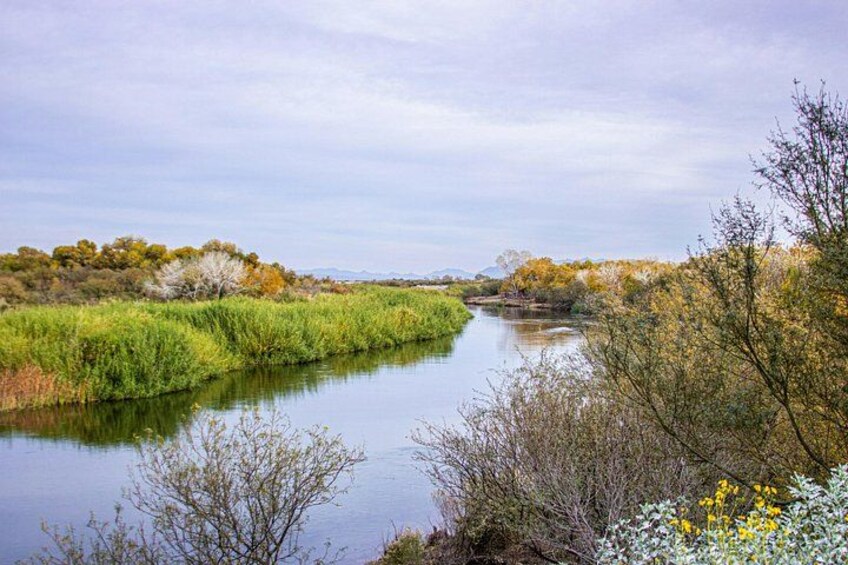 Un río rodeado de vegetación y árboles. 5