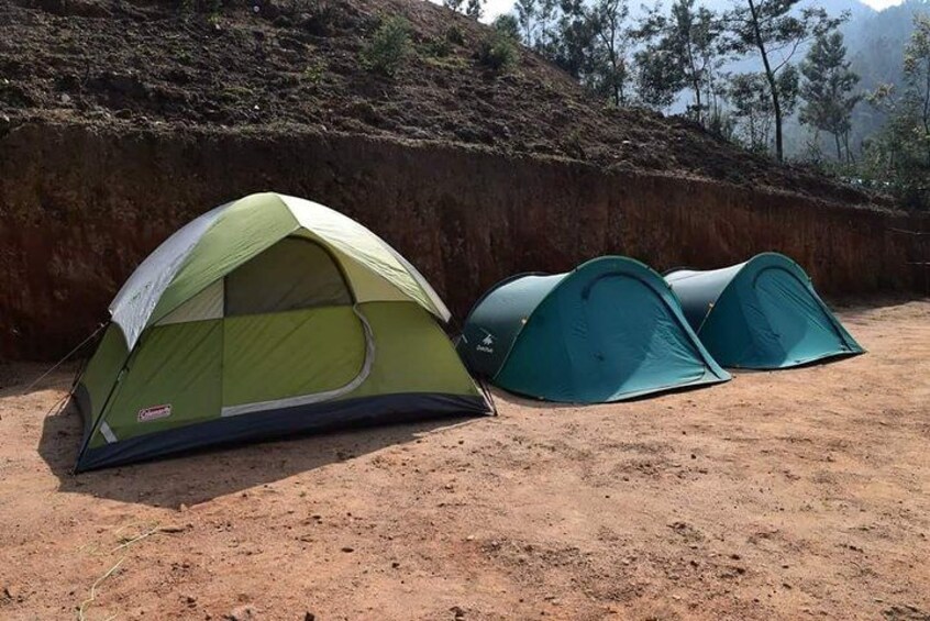 Three green Coleman tents set up on a dirt ground with a hillside in the background. 2