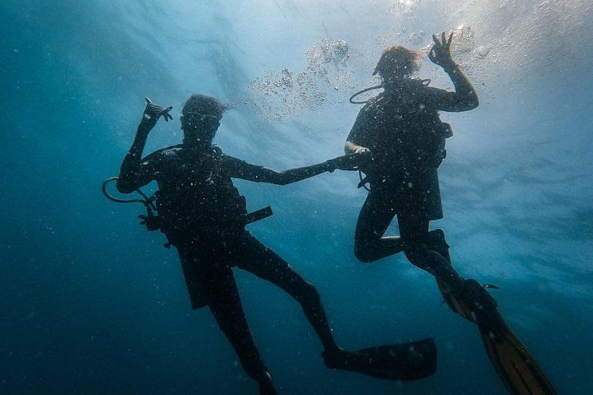 Fun Dives For Certified Divers 5