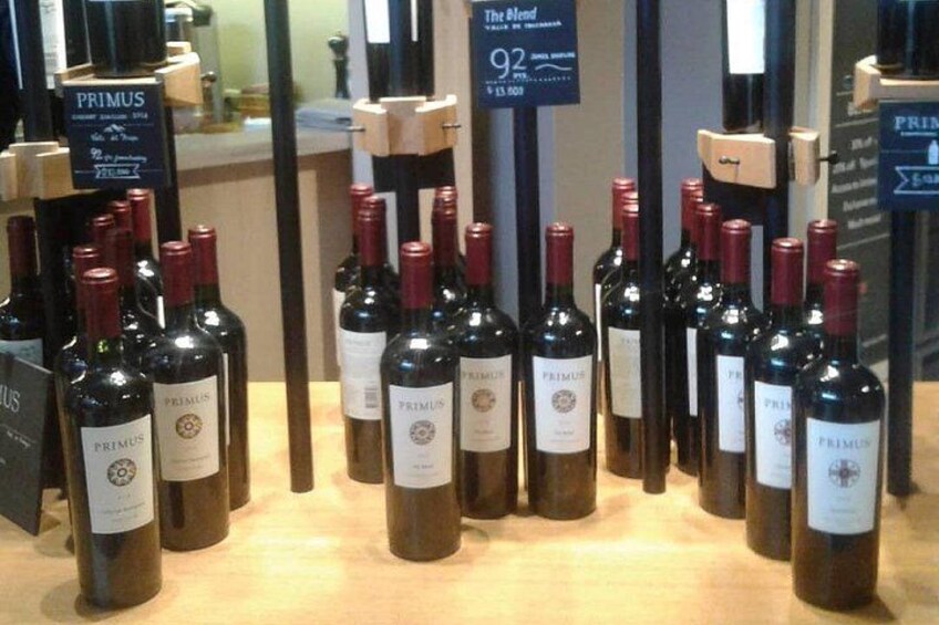 Private Wine Tasting tour in Casablanca Valley Vineyards 2