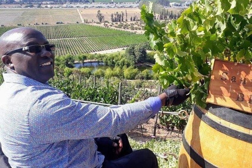 Private Wine Tasting tour in Casablanca Valley Vineyards 3