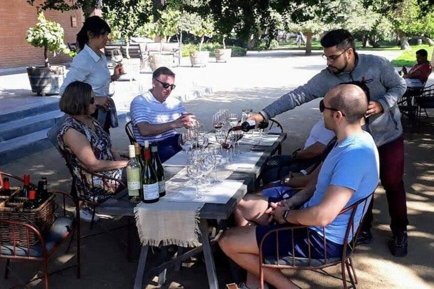 Private Wine Tasting tour in Casablanca Valley Vineyards 1