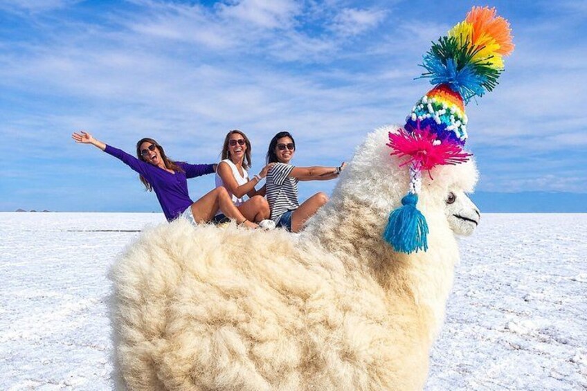 Uyuni Salt 1 day Tour with guide in English + Lunch and Sunset 3