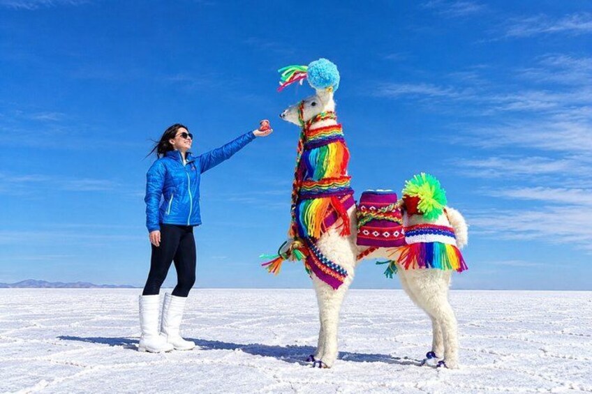 Uyuni Salt 1 day Tour with guide in English + Lunch and Sunset 2