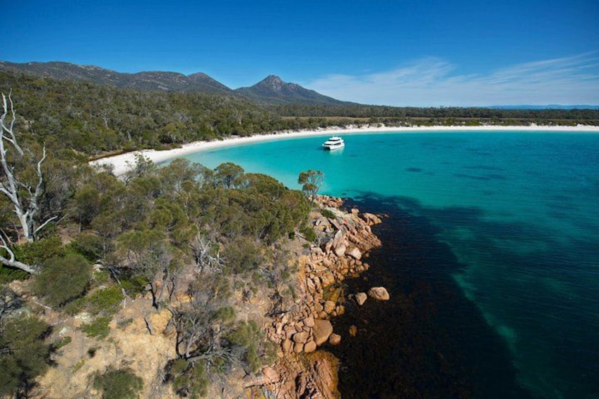 Wineglass Bay Cruise from Coles Bay 3