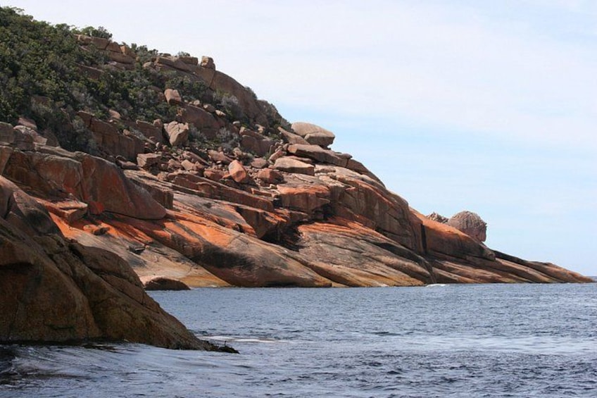 Wineglass Bay Cruise from Coles Bay 2