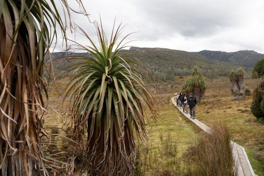 Cradle Mountain - Hobart to Launceston Day Tour 4