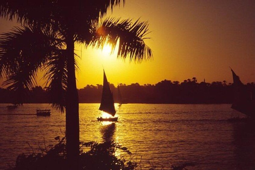 Un atardecer sobre un cuerpo de agua con un velero y una palmera en primer plano. 4