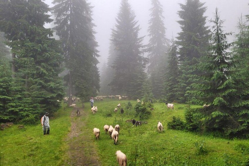 Maramures Activ Tour 4