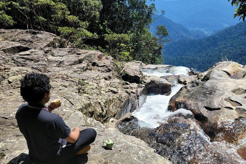 A person sitting on a rock by a waterfall surrounded by forest. 2