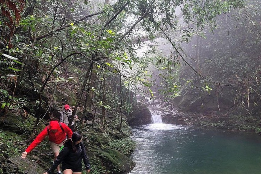 A forested area with a waterfall and a river. 5