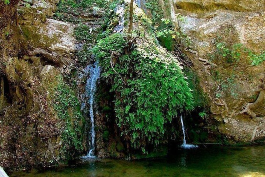 Una cascada se precipita sobre rocas, rodeada de exuberante vegetación. 4
