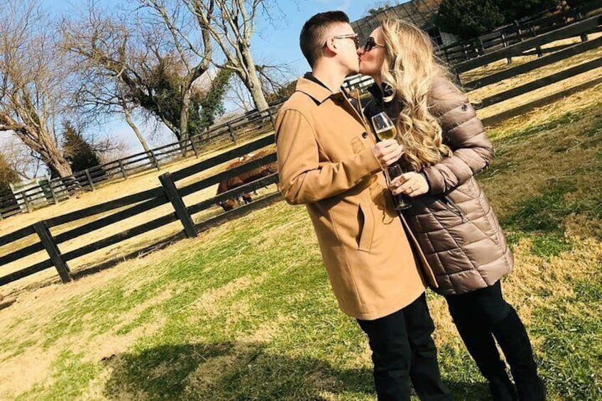 A couple kissing in a park with a wooden fence and trees in the background. 3