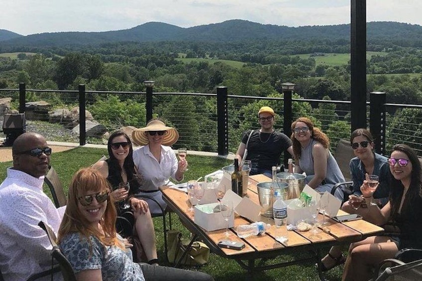 Virginia Wineries Guided Tour and Tastings from Washington DC 3