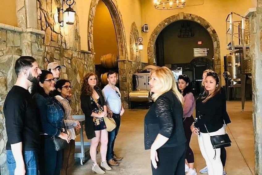 Virginia Wineries Guided Tour and Tastings from Washington DC 1