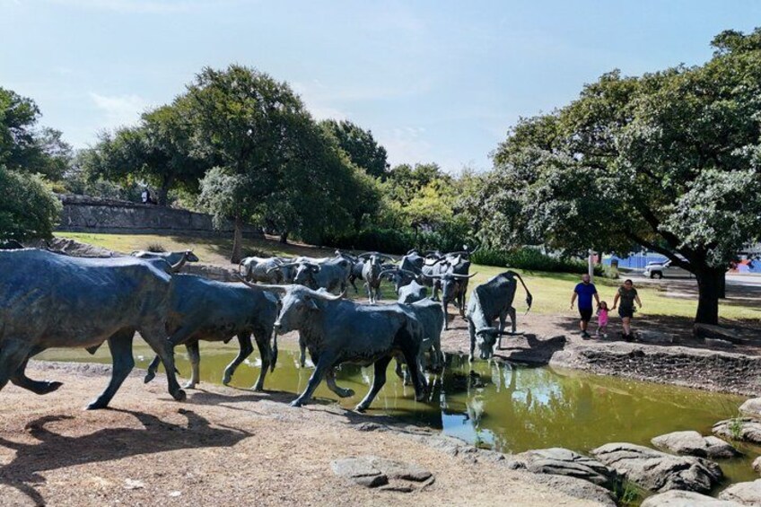 Un grupo de ganado caminando por un cuerpo de agua poco profundo en un parque, con árboles y un muro de piedra al fondo. 5