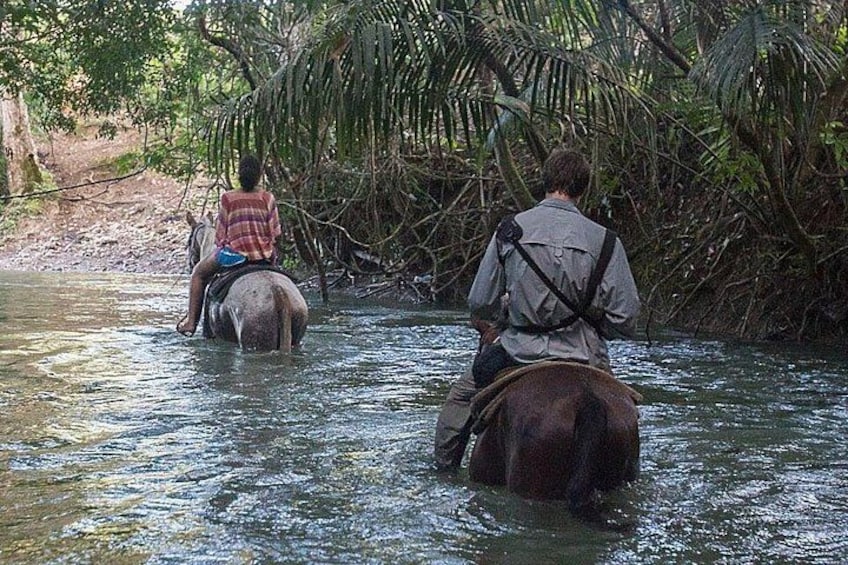 To personer rider på elefanter gennem en flod omgivet af frodig vegetation. 2