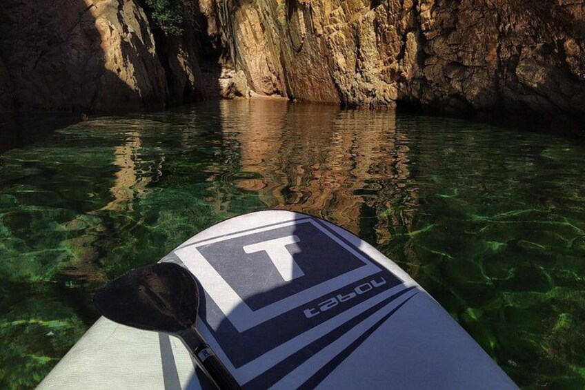 paddle boarding in crystal waters 2