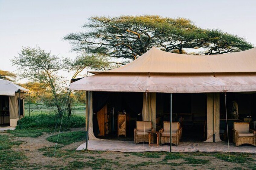 A safari tent with wicker furniture and a tree in the background. 1