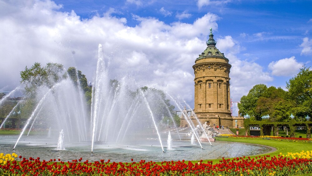 Art and Culture in Mannheim with a Local 3