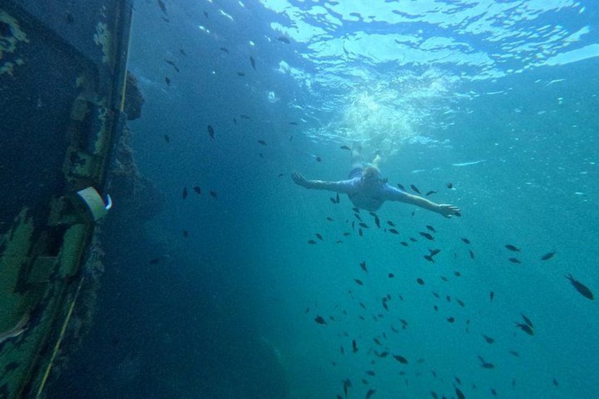 snorkel 4