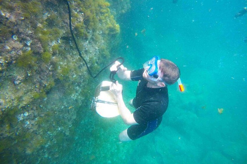 A person snorkeling underwater, wearing a snorkel mask and fins, with a clear view of the ocean floor and marine life. 2