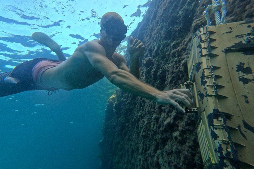 Eine Person schwimmt unter Wasser in der Nähe einer Felsformation. 2
