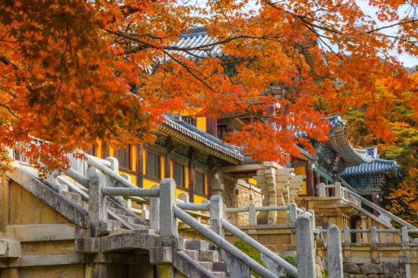 A traditional Japanese building with a stone bridge leading up to it, surrounded by vibrant autumn foliage. 5