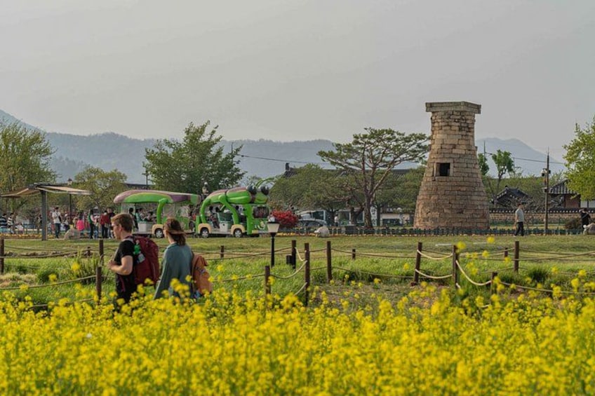 A field of yellow flowers, a stone tower, and green vehicles. 3