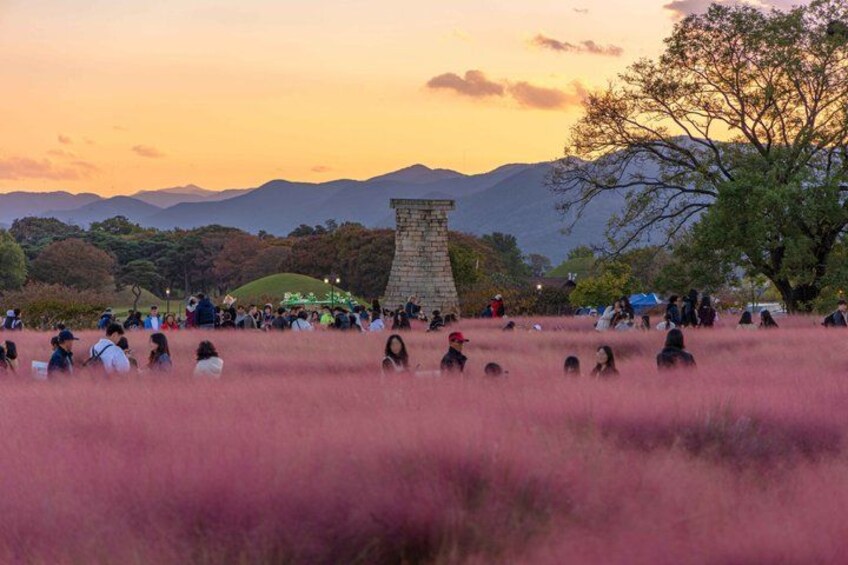 Gyeongju UNESCO Private Tour with Busan or Gyeongju Pick-up 3