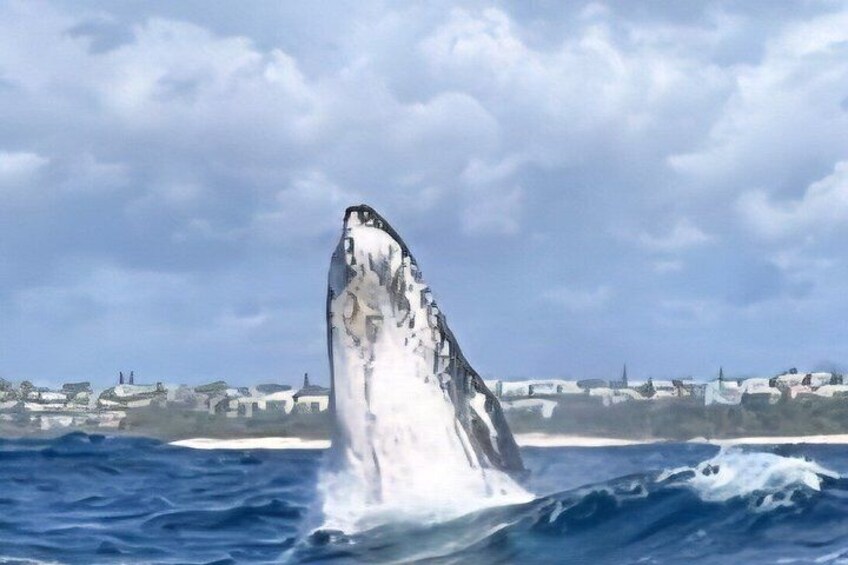 Une baleine surgissant à la surface de l’océan, avec une ville côtière en arrière-plan. 3