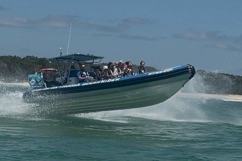Noosa Whale Watching Cruise – Humpback Whale Adventure 4