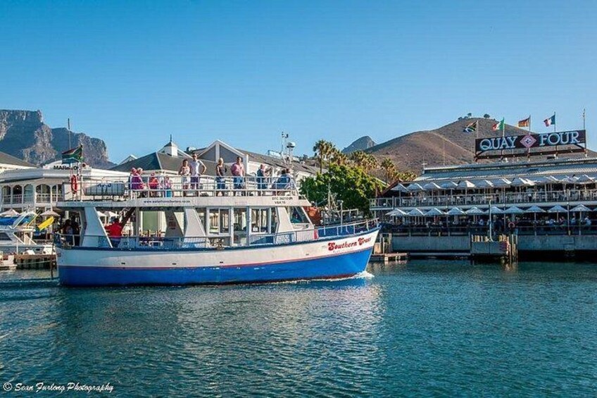 Half Hour Seal and Harbour Cruise from Cape Town 1