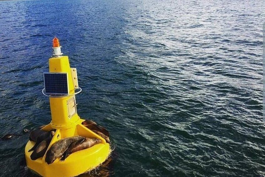 A yellow buoy with a solar panel and a red light on top, floating on the water. 5