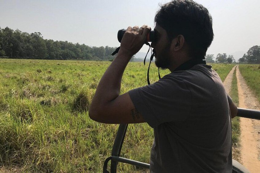 Jungle Safari in Dhikala Zone 4