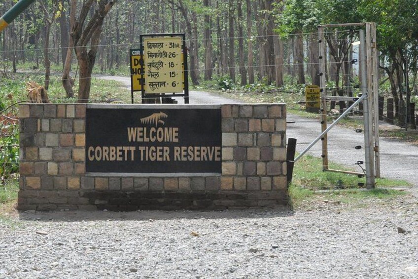 Dhikala Zone Entry gate 5