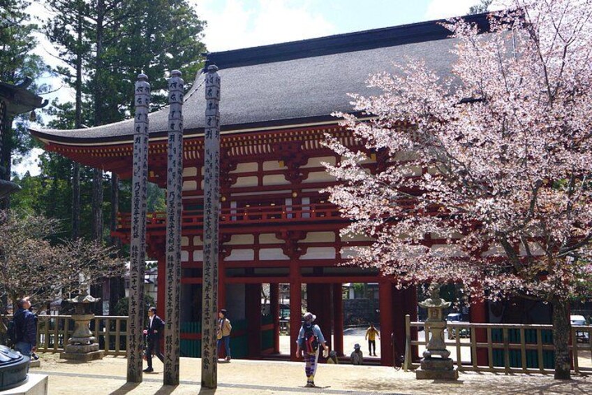 Koyasan Full-Day Private Tour 3