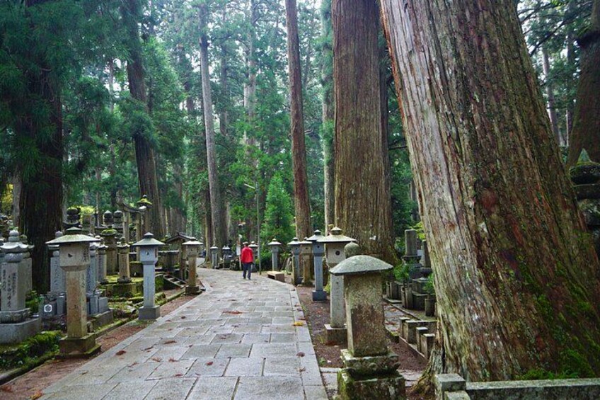 Koyasan Full-Day Private Tour 1