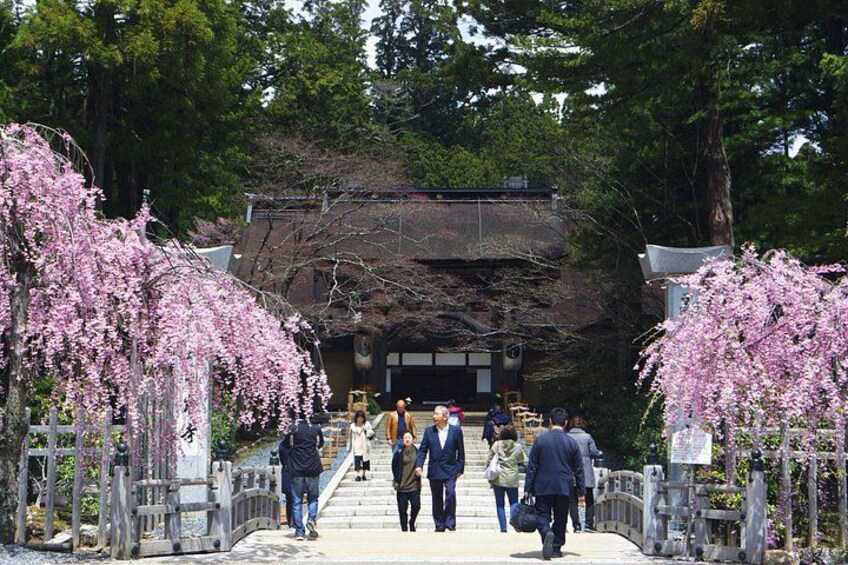 Koyasan Full-Day Private Tour 2
