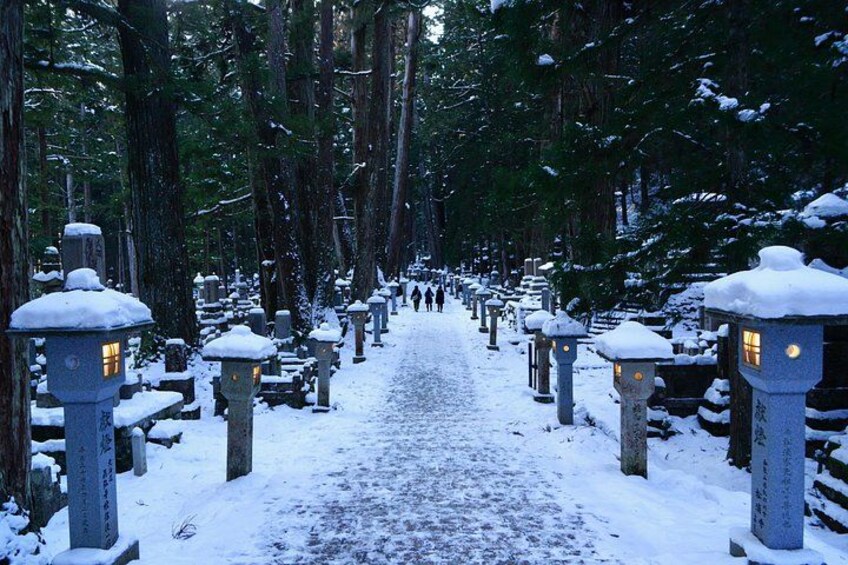 Koyasan Full-Day Private Tour 4