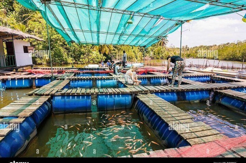 Une pisciculture avec des bassins et des employés qui y travaillent. 3