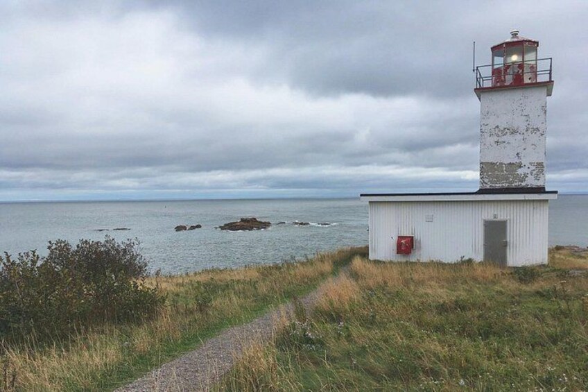 Bay of Fundy Tour by Bus 3
