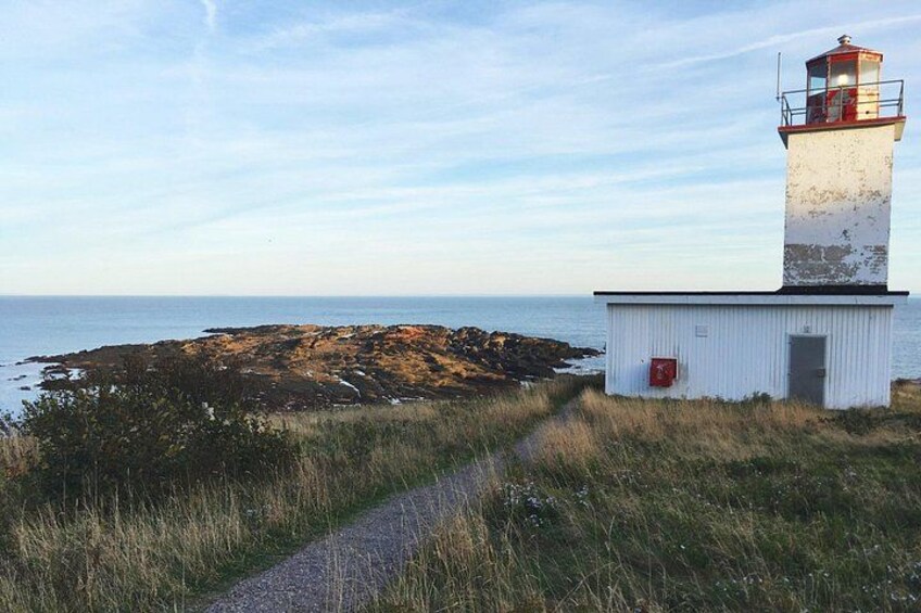 A lighthouse, rocky shoreline, grassy path, and ocean. 2