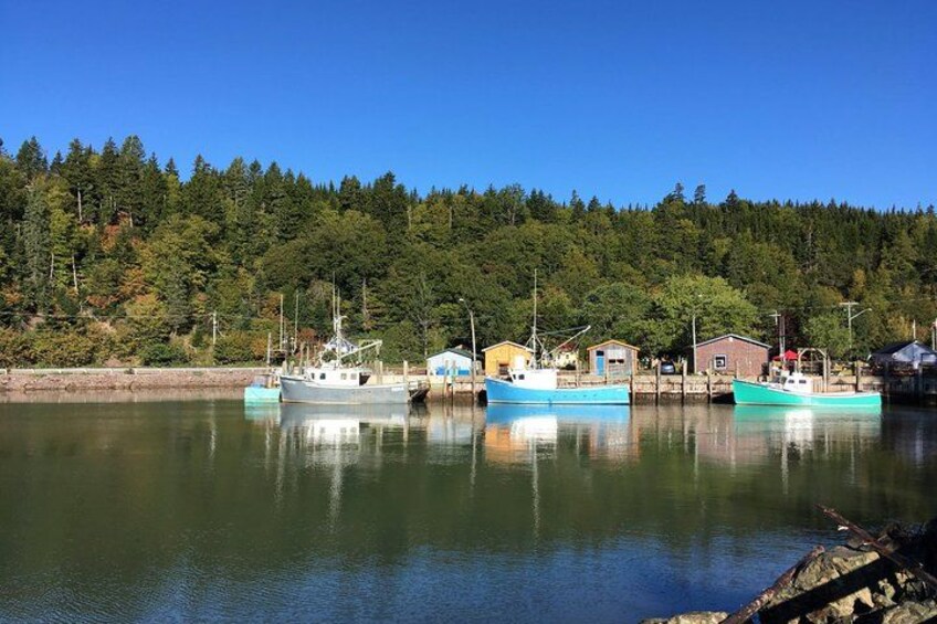 Bay of Fundy Tour by Bus 4
