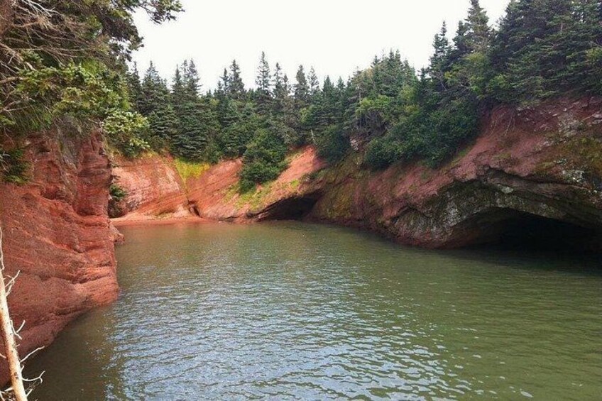 Bay of Fundy Tour by Bus 2