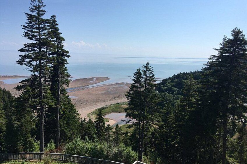 Bay of Fundy Tour by Bus 5