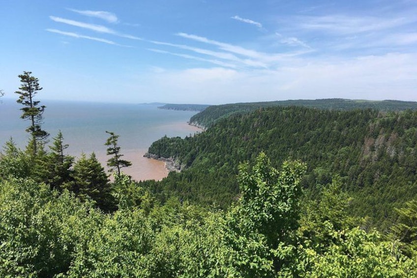 Bay of Fundy Tour by Bus 1