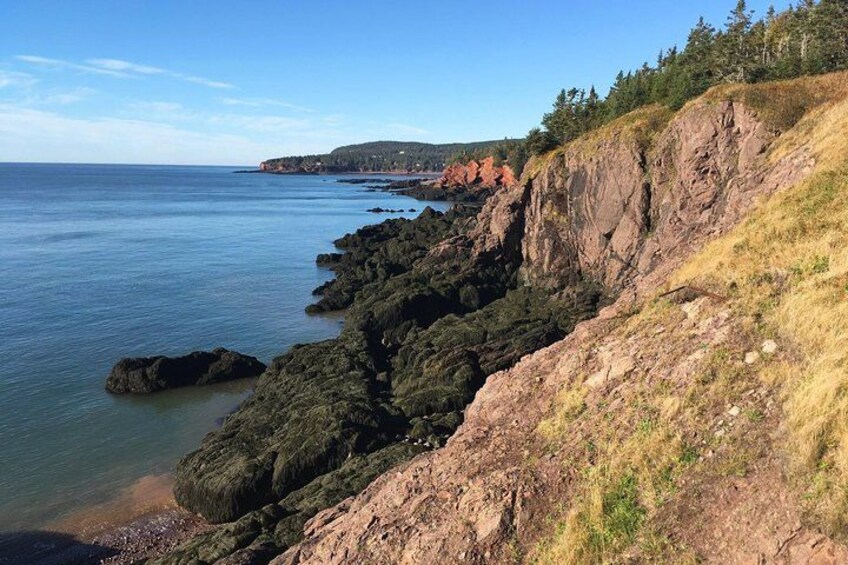 Bay of Fundy Tour by Bus 3