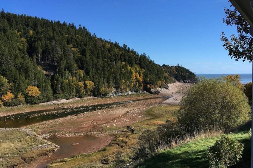Bay of Fundy Tour by Bus 5