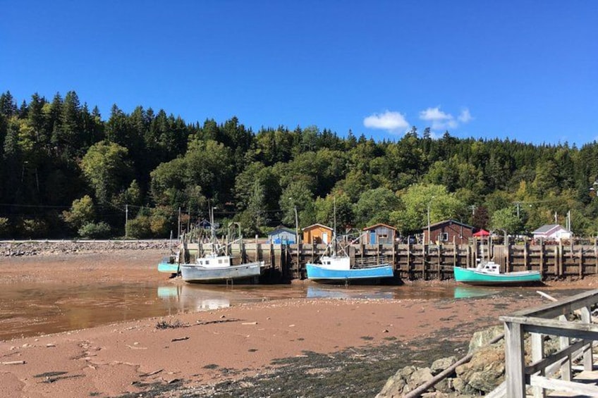 Bay of Fundy Tour by Bus 5